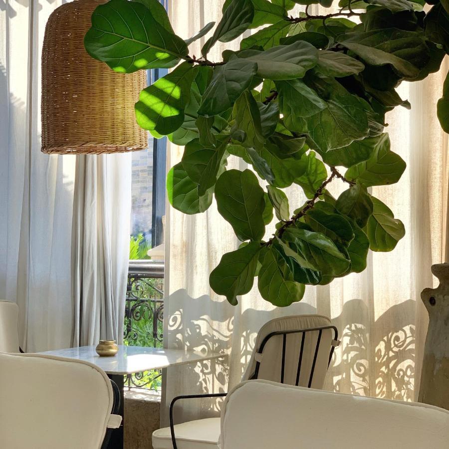 Sakkan Marrakesh Eksteriør bilde